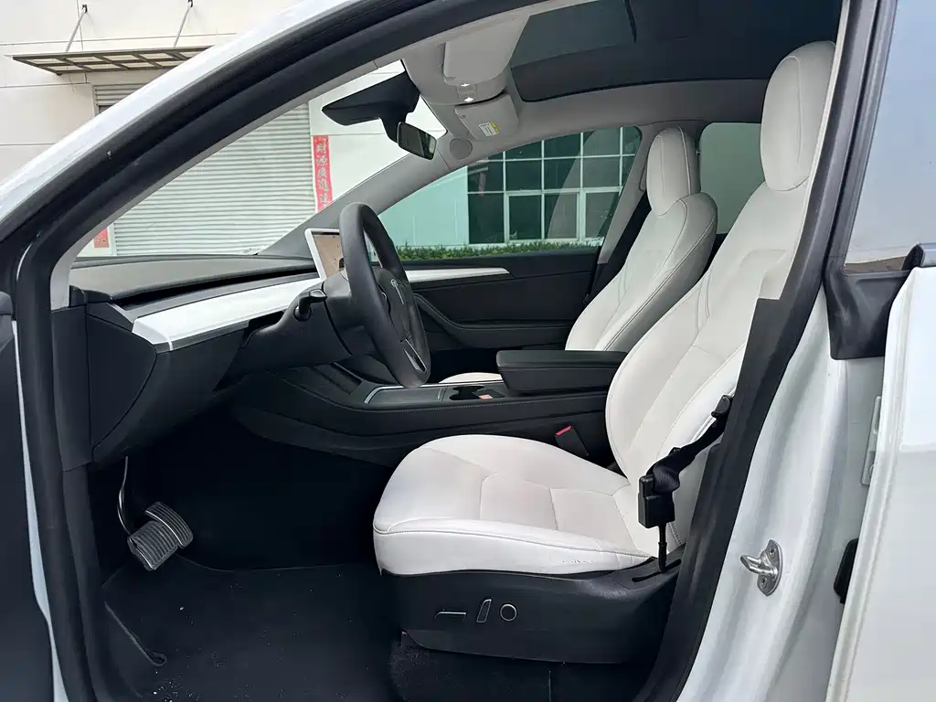 Tesla Model Y — миниатюра 9