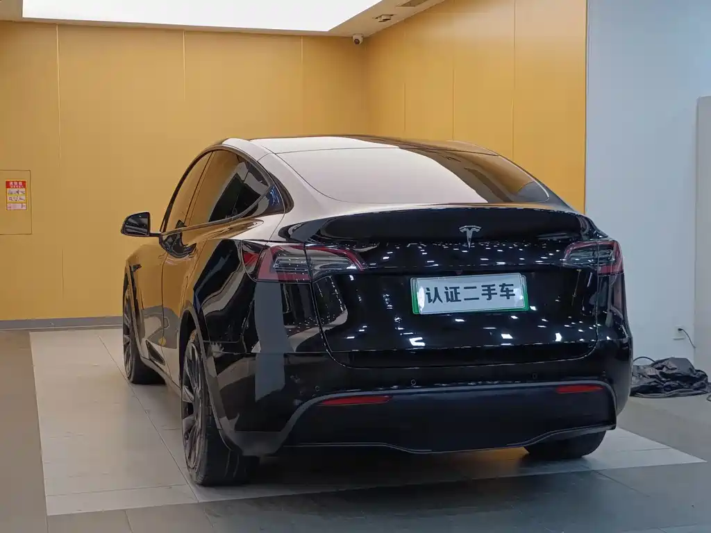 Tesla Model Y — миниатюра 8