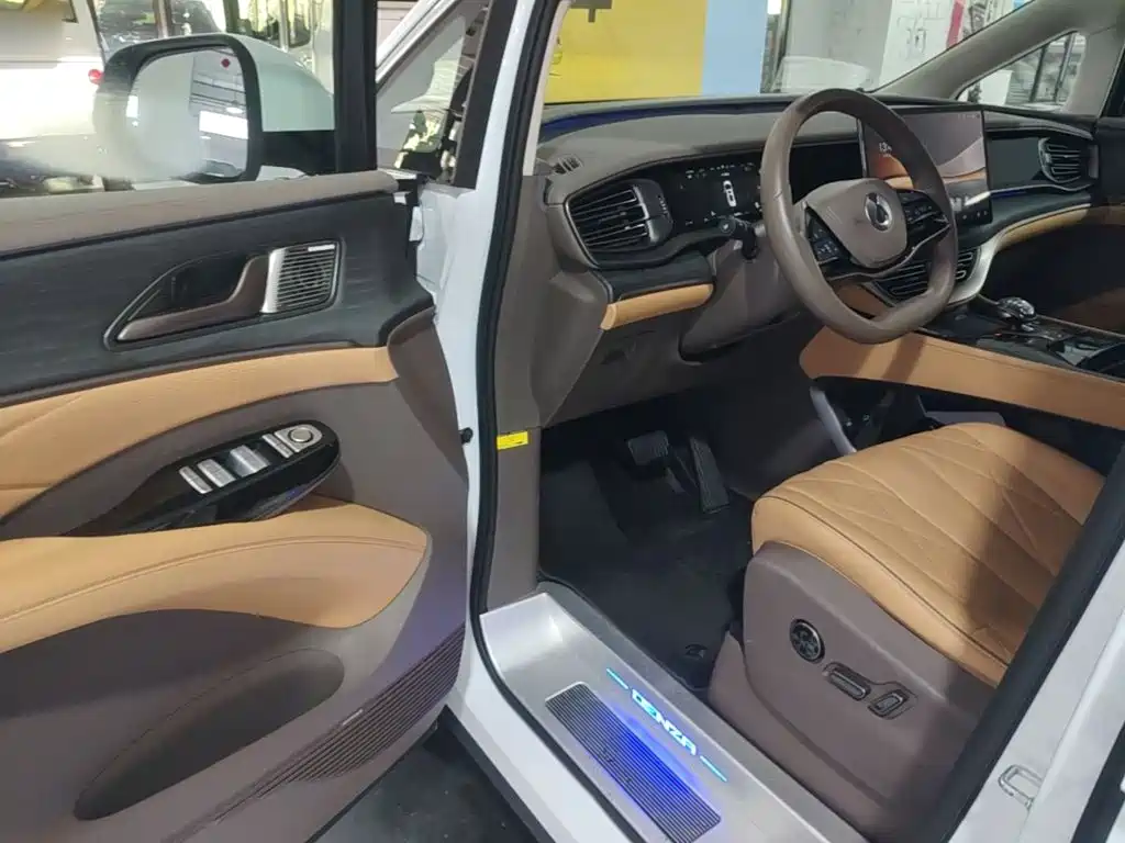 Denza Denza D9 — миниатюра 16