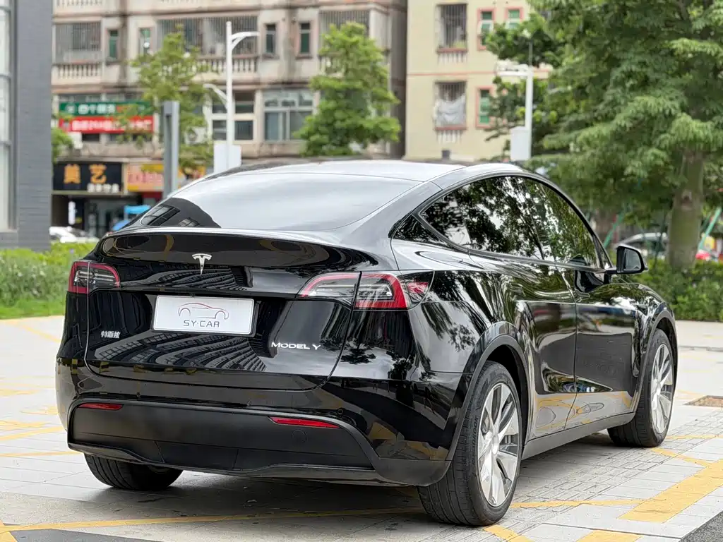 Tesla Model Y — миниатюра 5