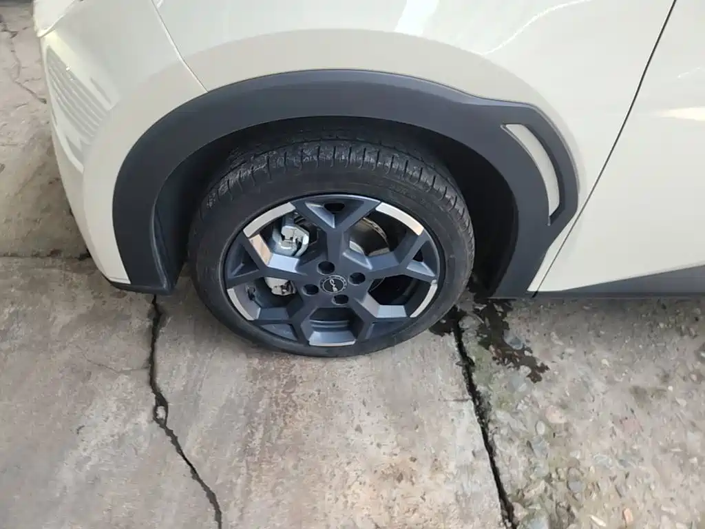 BYD Seagull — миниатюра 23