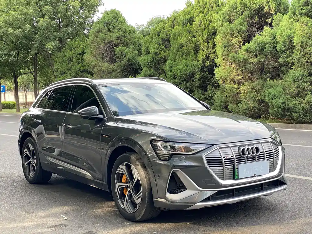Audi e-tron 2021 50 quattro