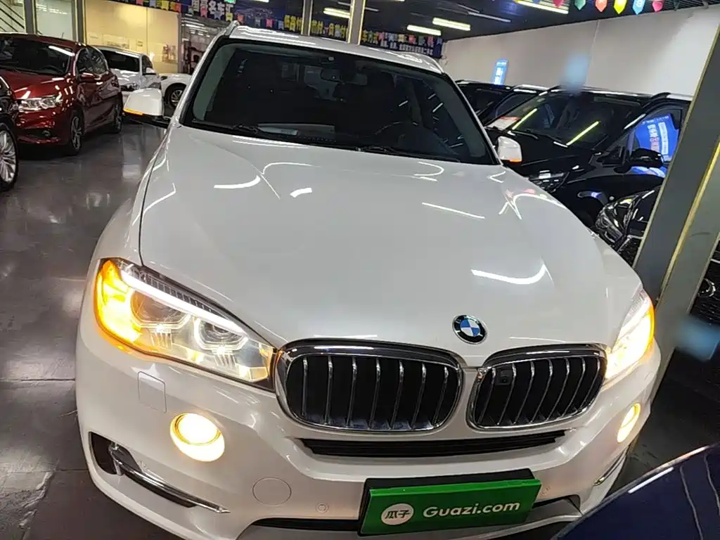 BMW X5 (Import) — миниатюра 3