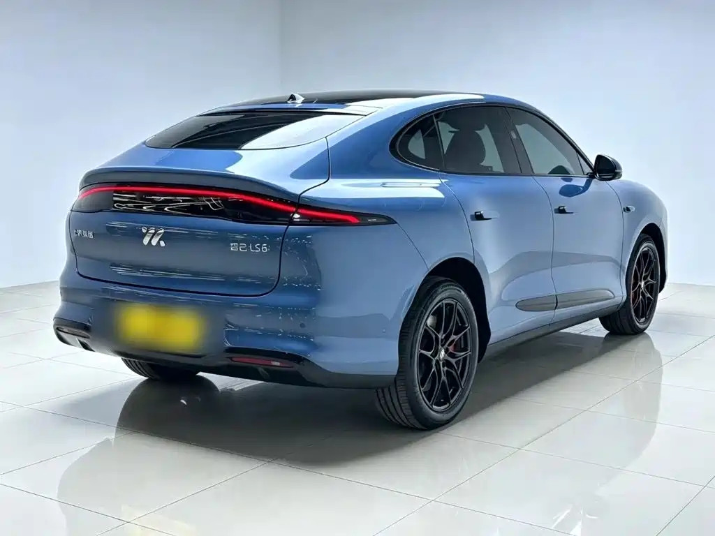 IM IM LS6 — миниатюра 7