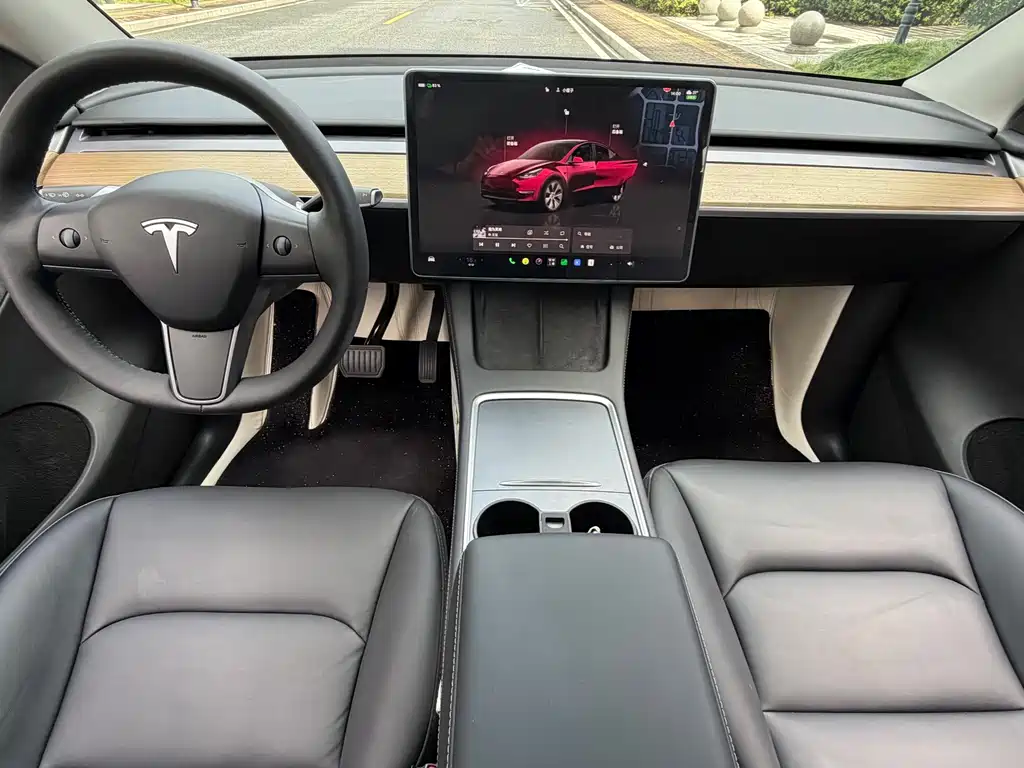 Tesla Model Y — миниатюра 7