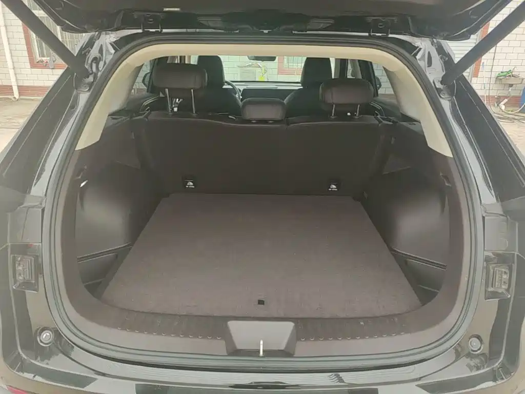 Haval Xiaolong MAX — миниатюра 19
