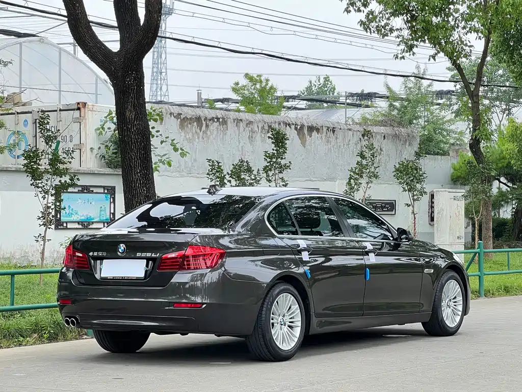 BMW 5 Series 5 2014 525Li Lead