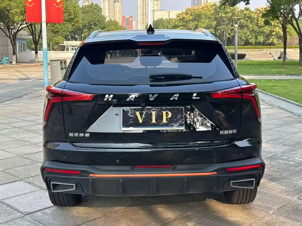 Haval Shenshou — миниатюра 8