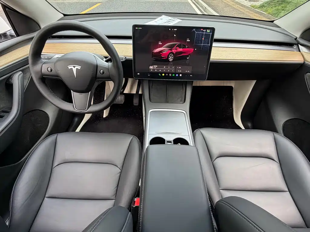 Tesla Model Y — миниатюра 6
