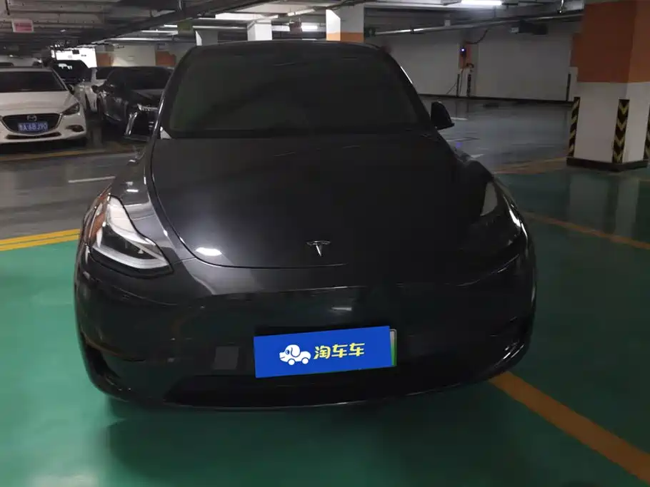 Tesla Model Y — миниатюра 2