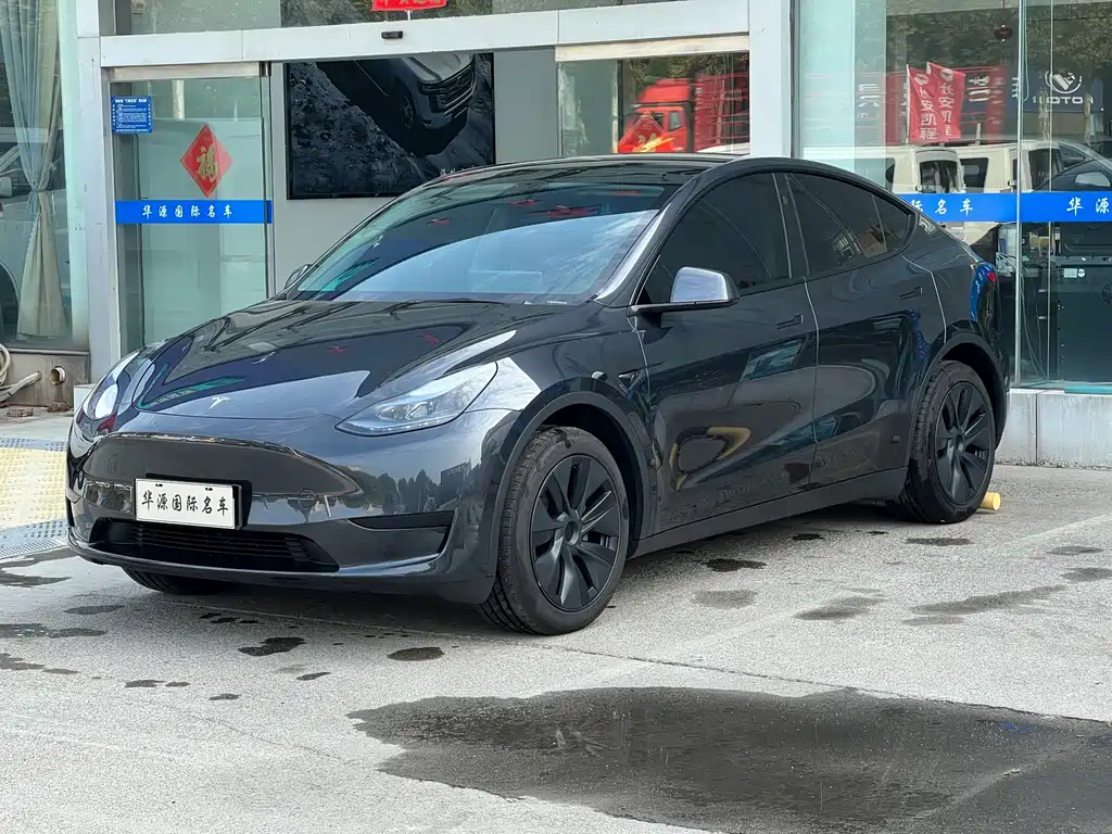 Tesla Model Y — миниатюра 3