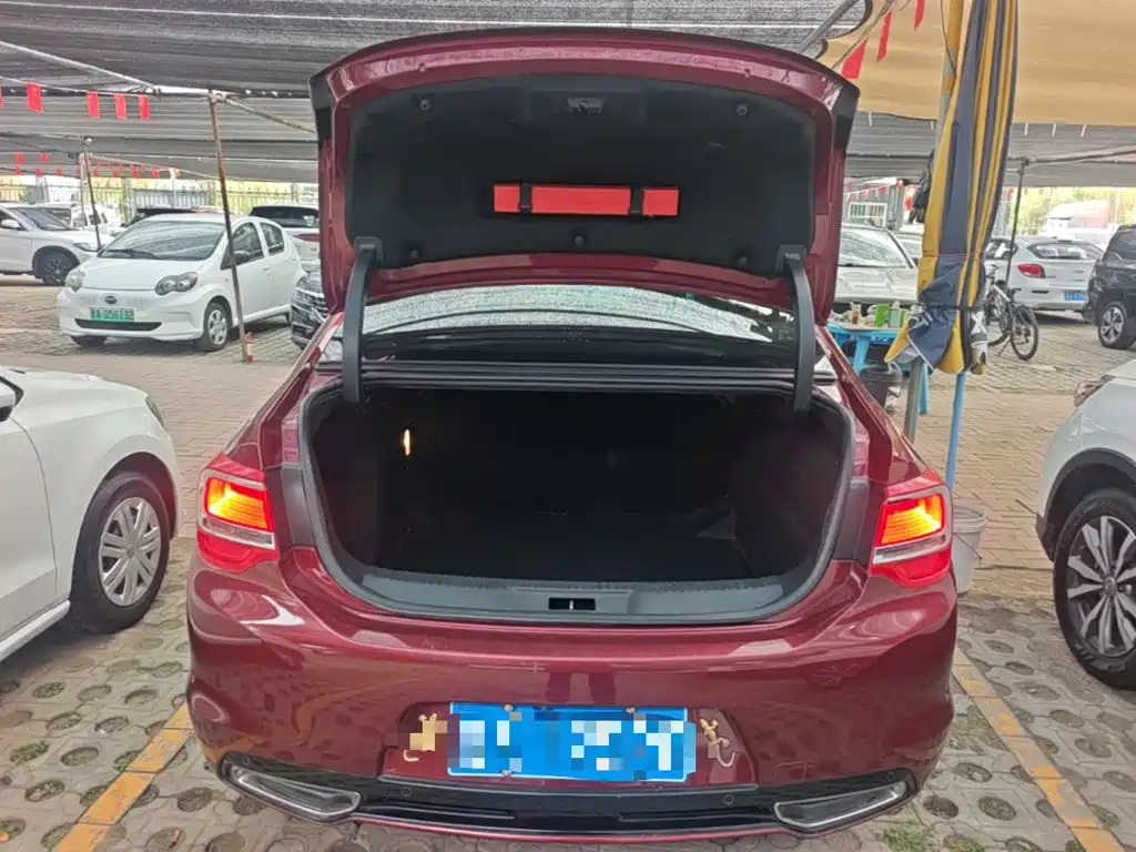 DS DS 5LS — миниатюра 19