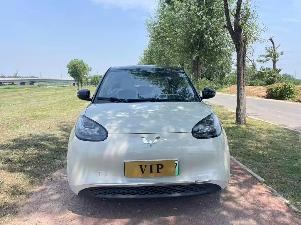 Wuling Binguo 2023 410km Premium