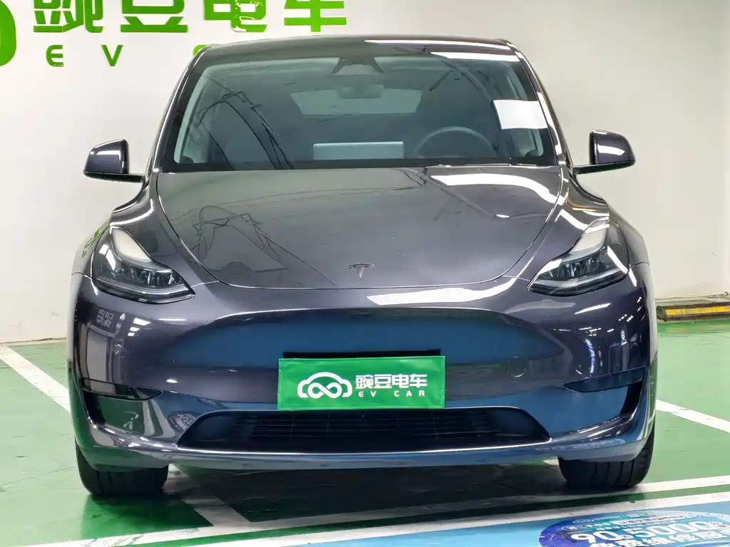 Tesla Model Y — миниатюра 4