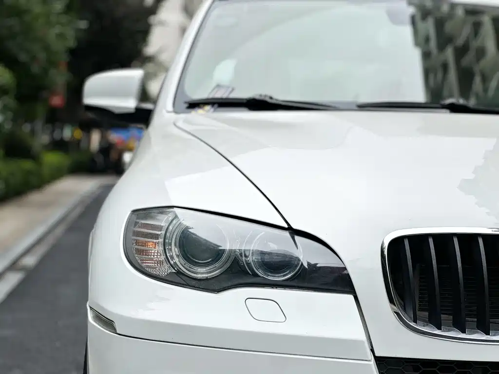 BMW X5 M 2010 X5 M