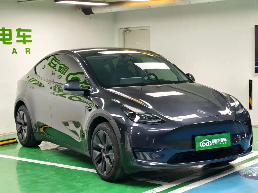 Tesla Model Y — миниатюра 5