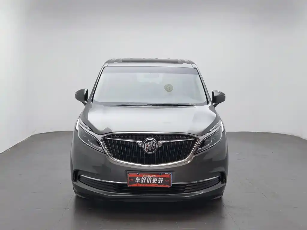 Buick GL8 — миниатюра 3