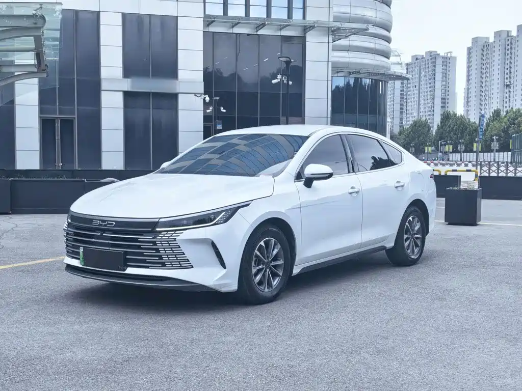 BYD Destroyer 05 — миниатюра 2