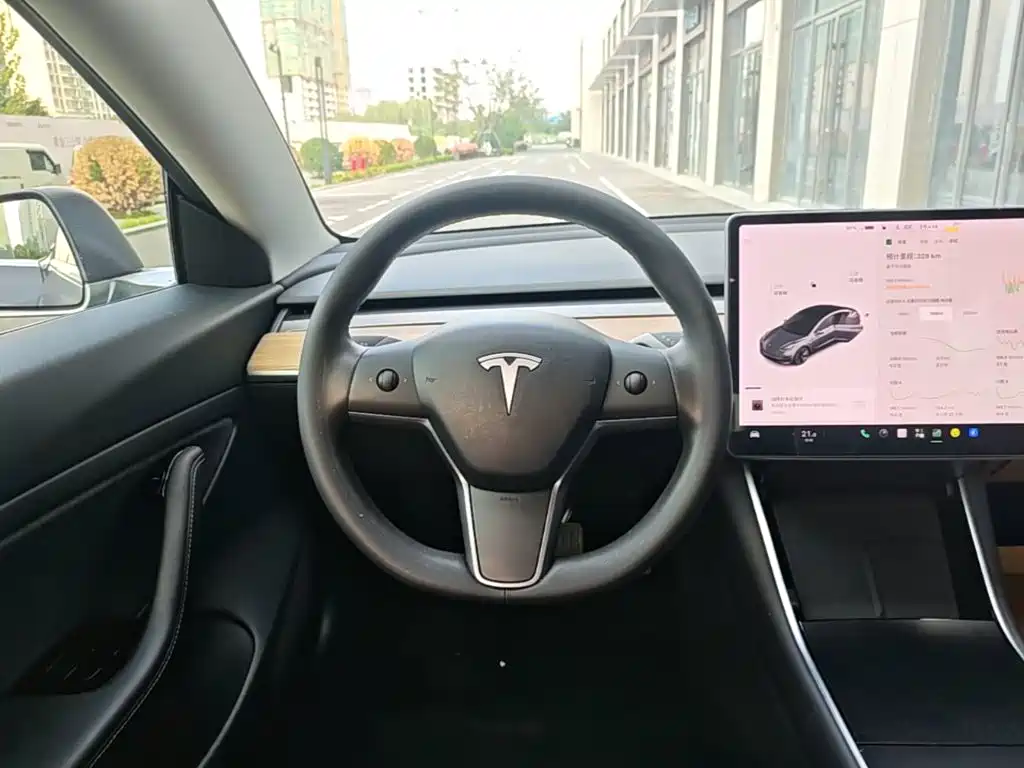 Tesla Model 3 — миниатюра 11