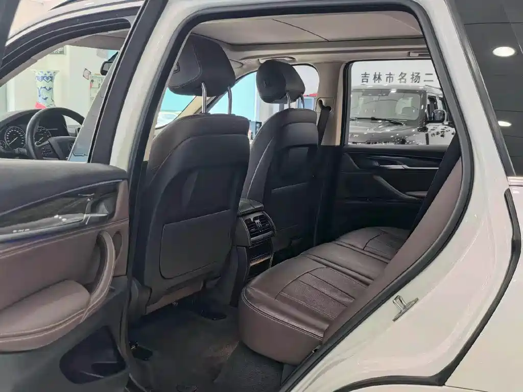 BMW X5 New Energy (Import) — миниатюра 5