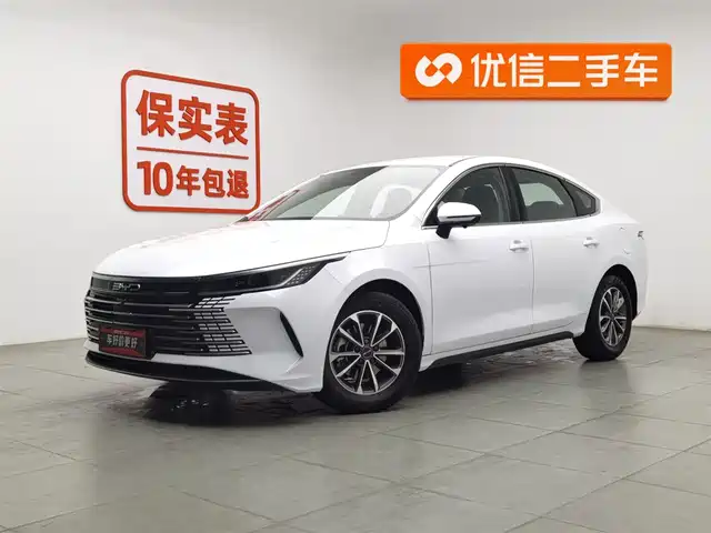BYD DESTROYER 05 2024