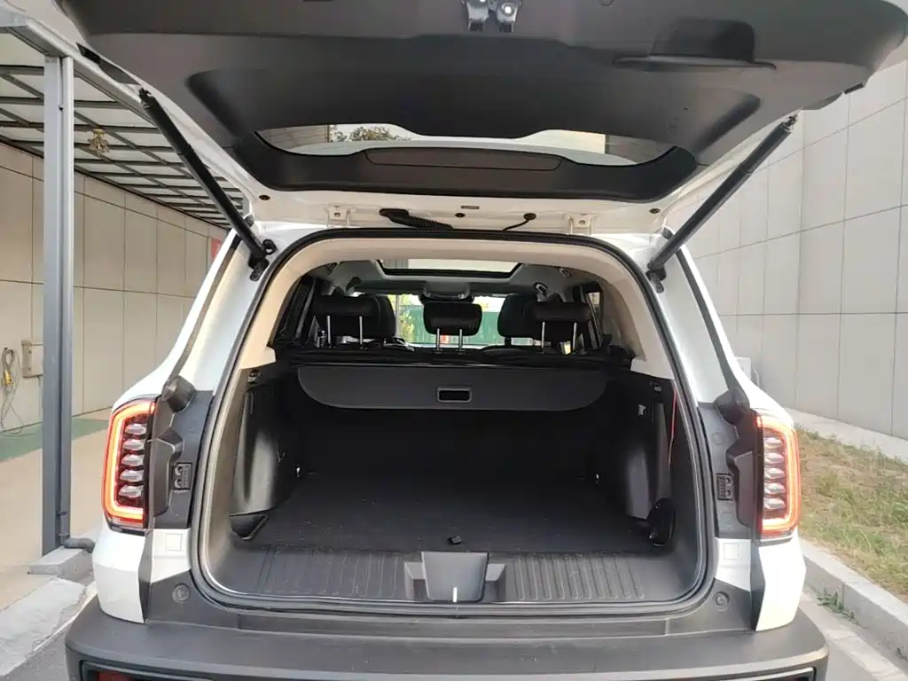 Haval Big Dog — миниатюра 19