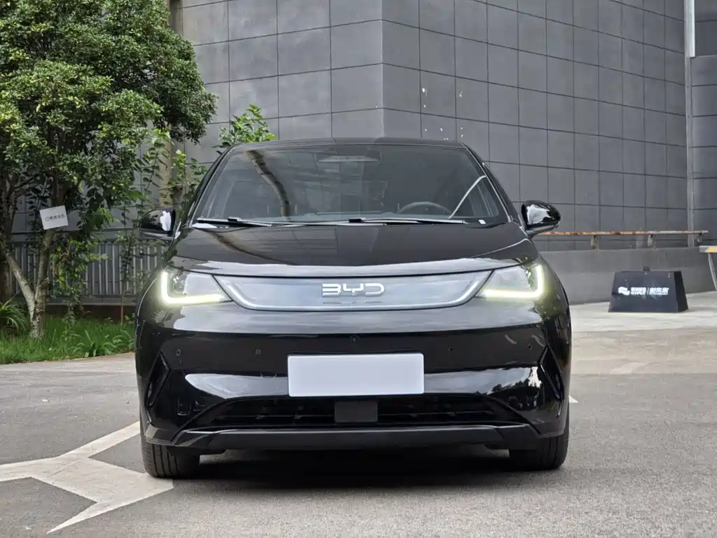 BYD Dolphin — миниатюра 3