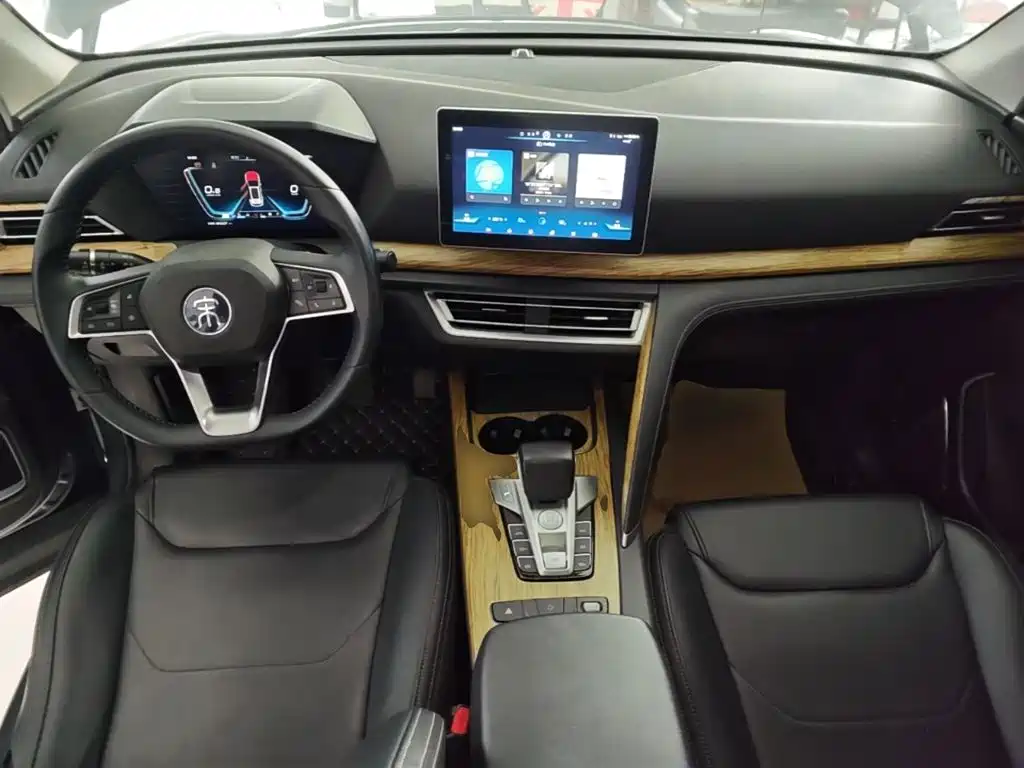BYD Pro — миниатюра 10