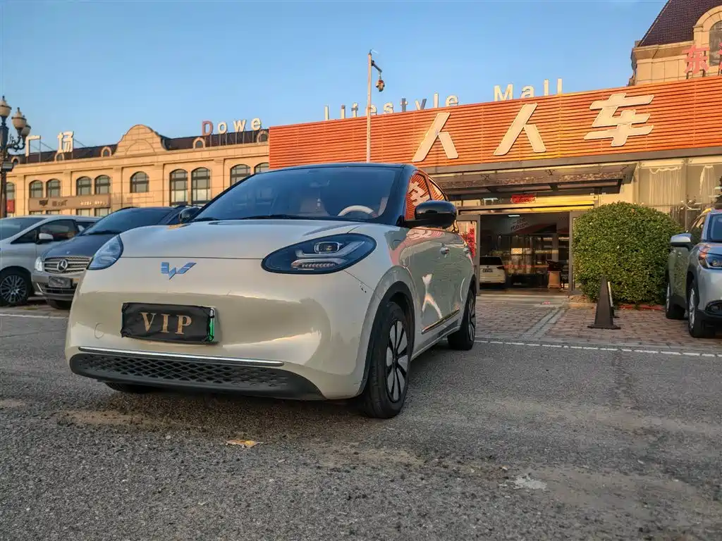 Wuling Bingo