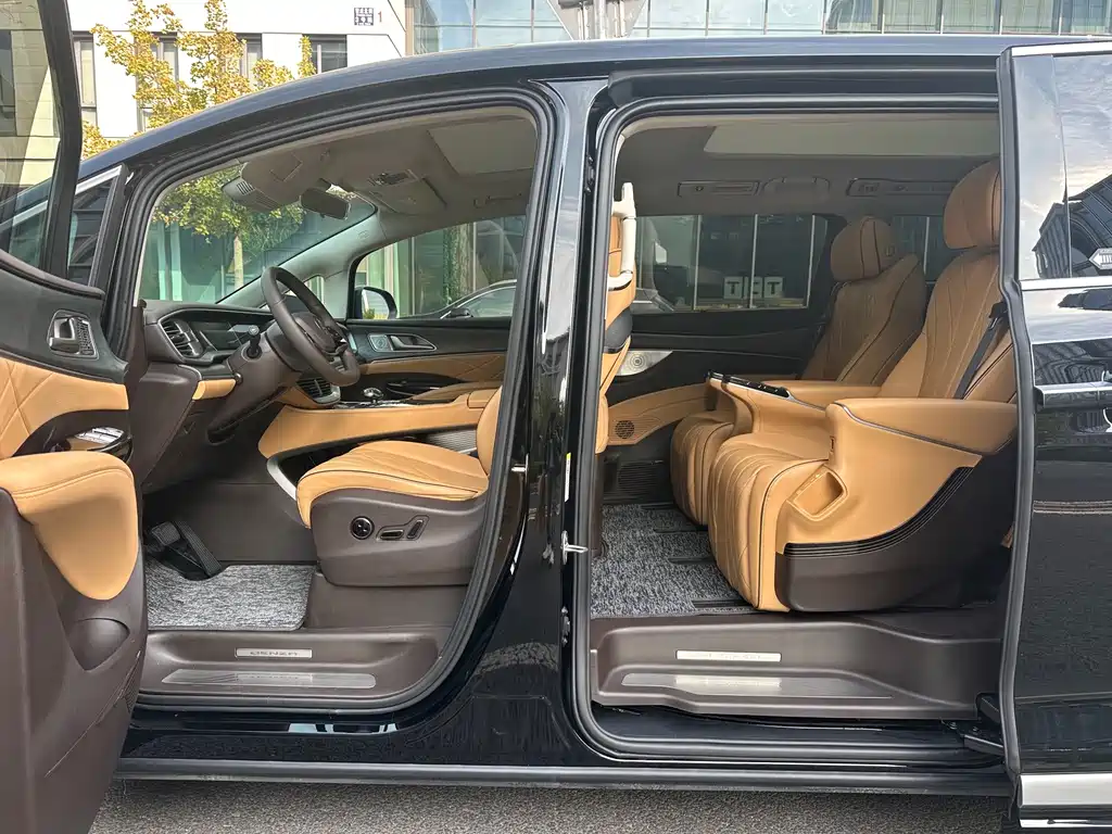 Denza Denza D9 — миниатюра 7