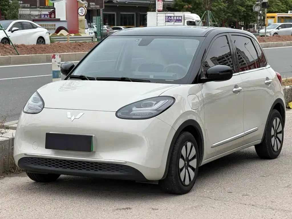 Wuling Bingo