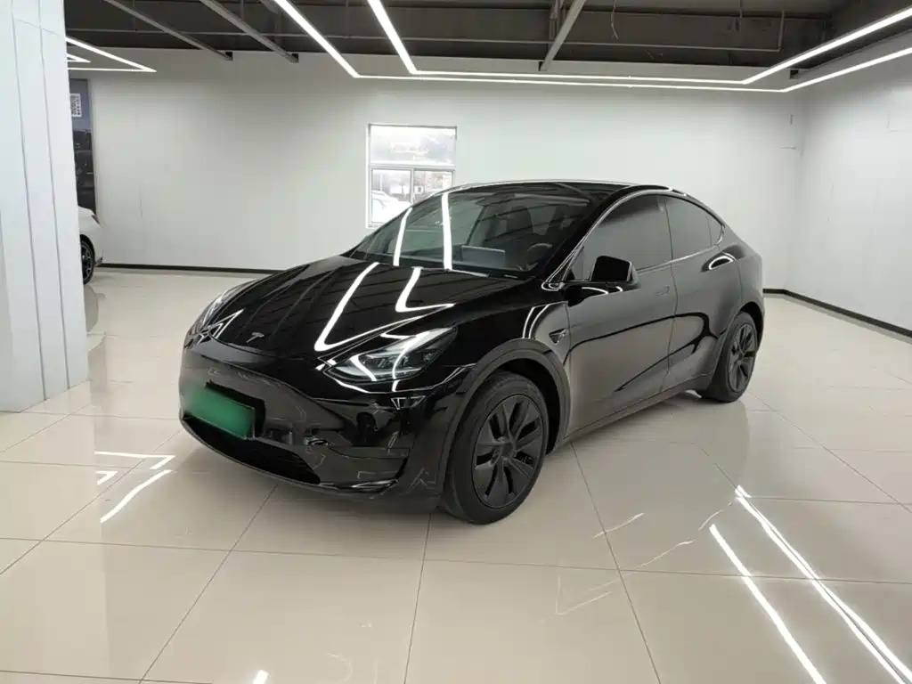 Tesla Model Y — миниатюра 2