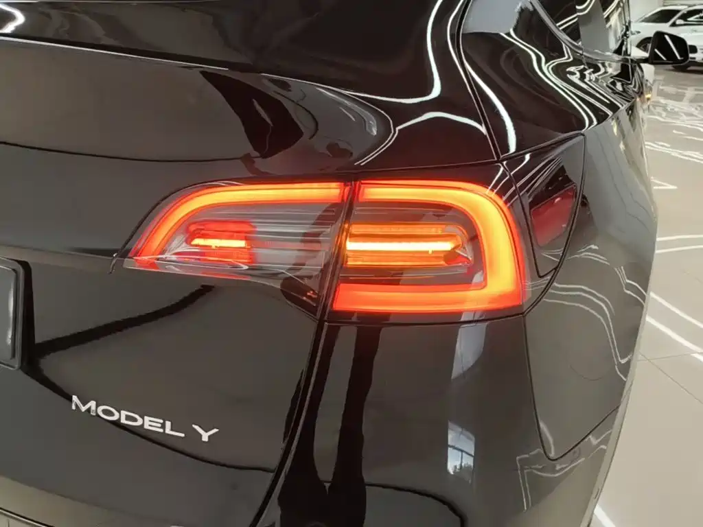 Tesla Model Y — миниатюра 8