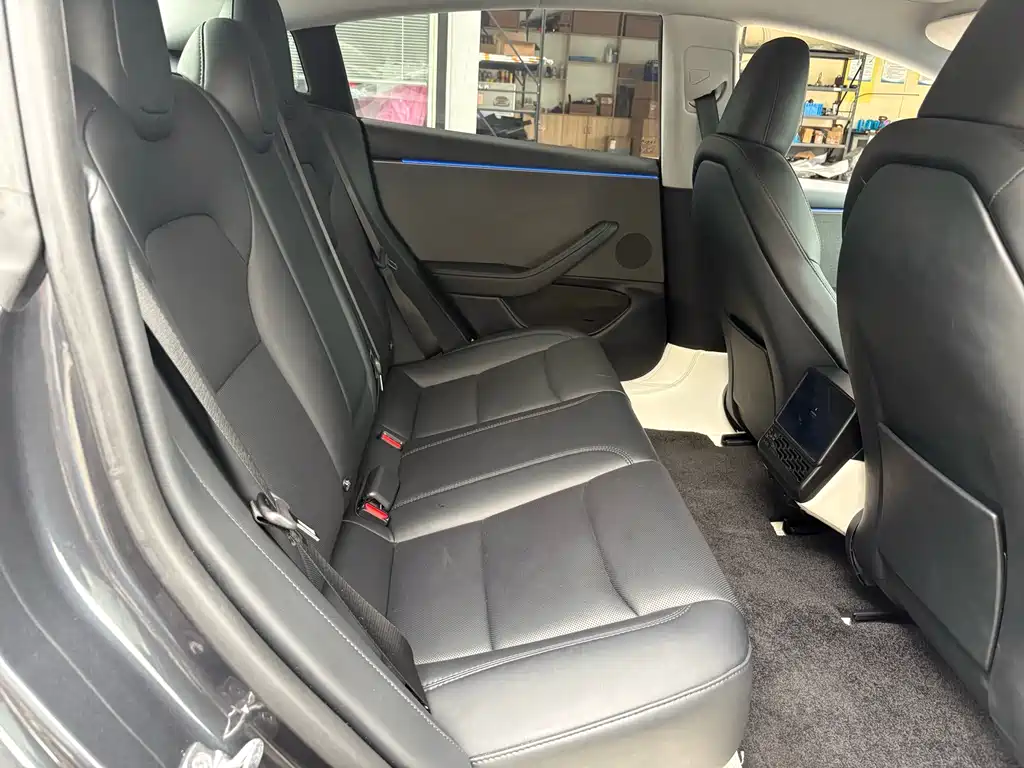 Tesla Model 3 — миниатюра 10