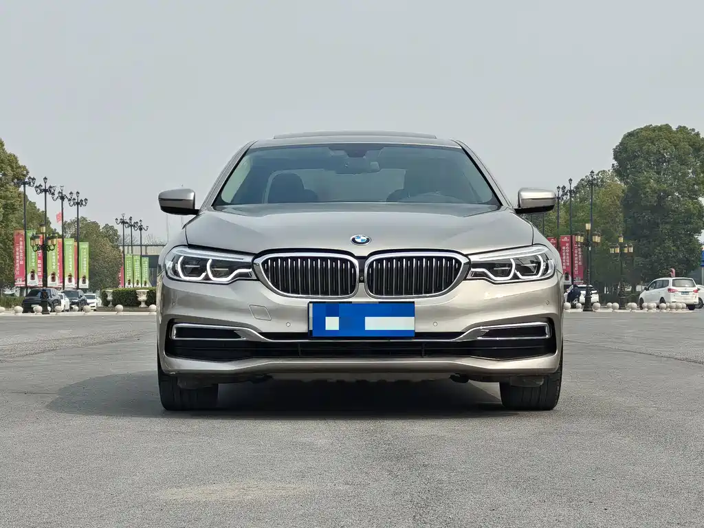 BMW 5 Series 5 2019 530Li Premium Luxury