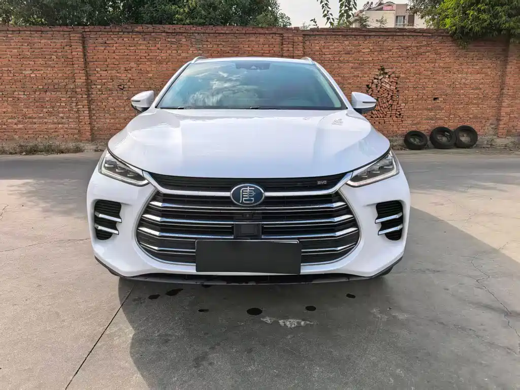 BYD Tang New Energy — миниатюра 2