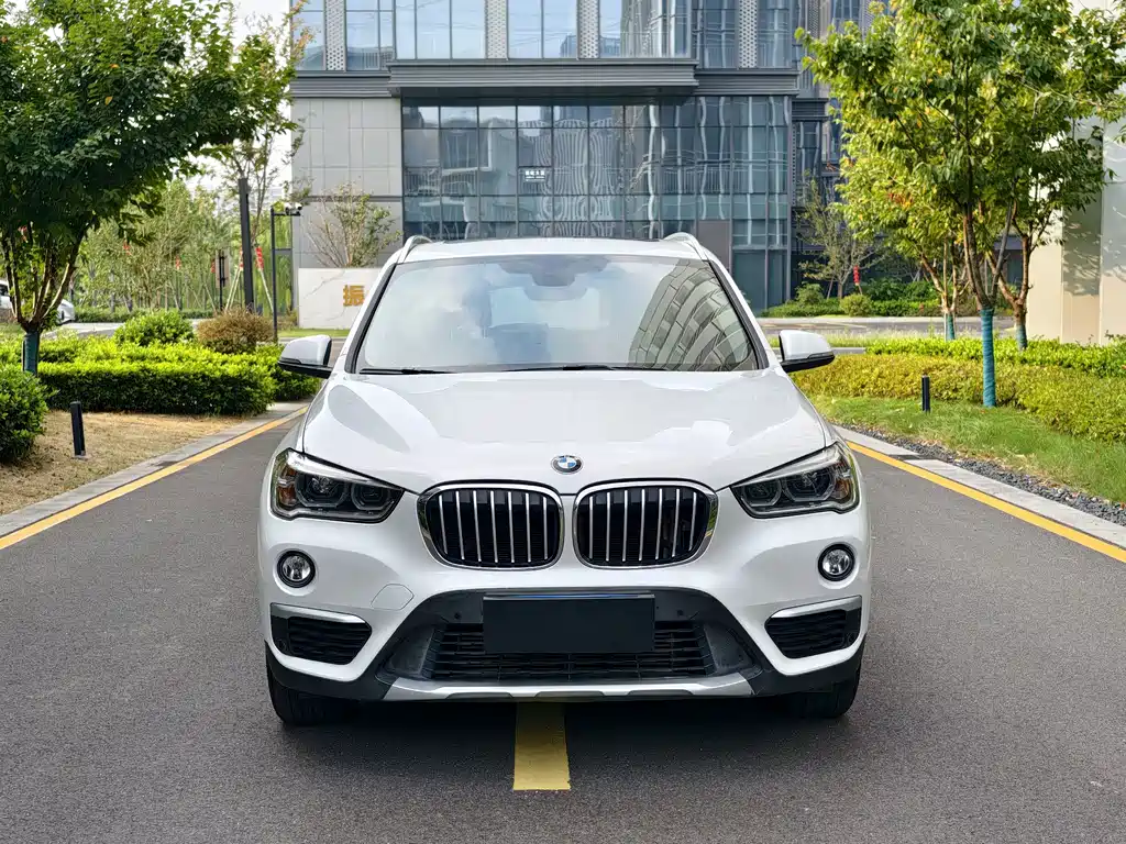 BMW X1 — миниатюра 2
