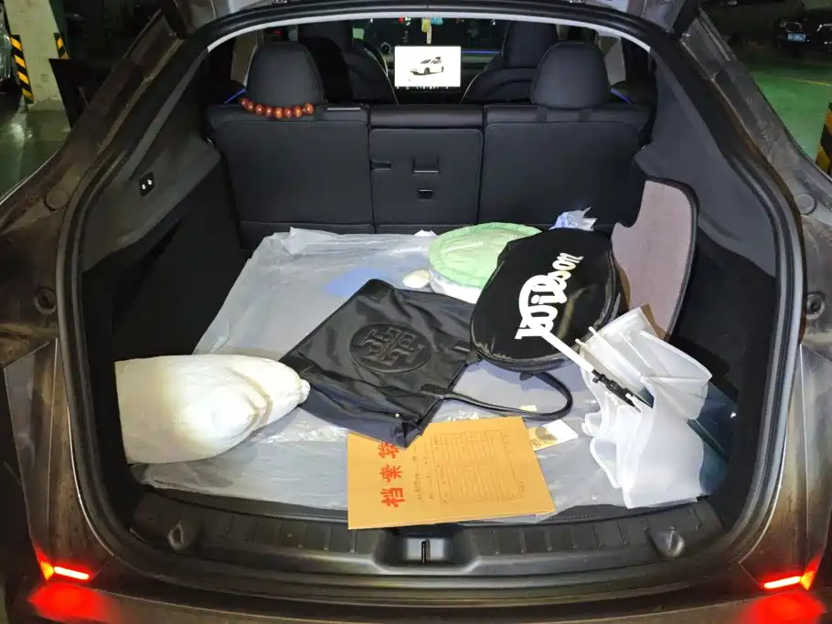 Tesla Model Y — миниатюра 4
