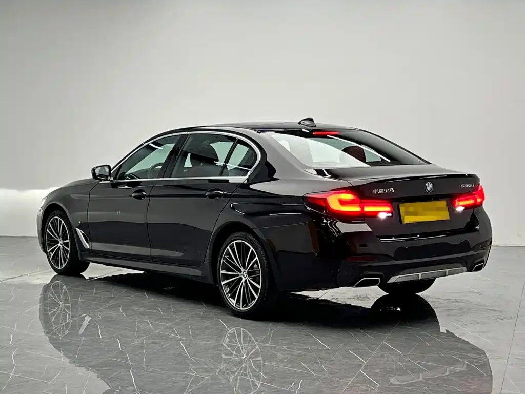 BMW 5 Series — миниатюра 4
