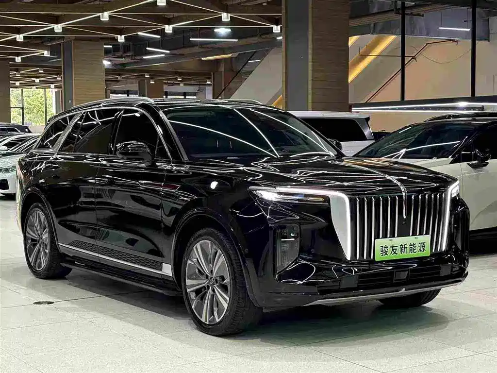 Hongqi Hongqi E-HS9 — миниатюра 11