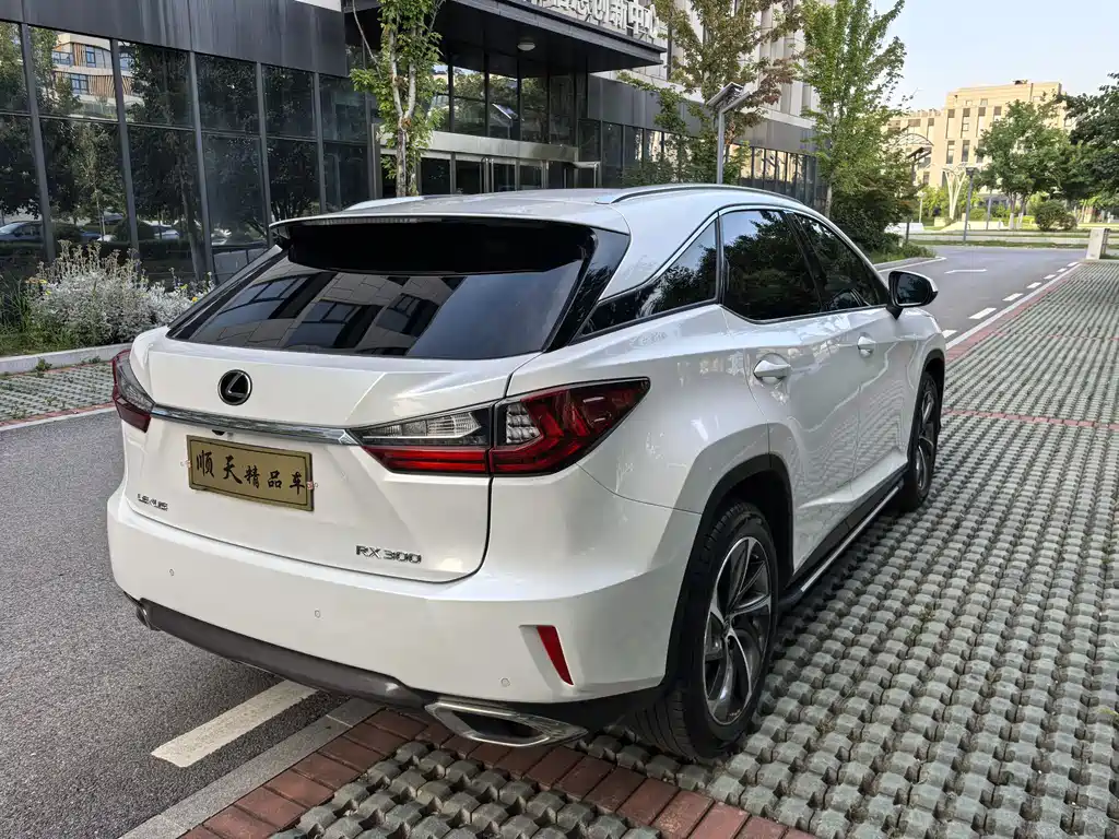 Lexus RX 2020 300 Elegant VI