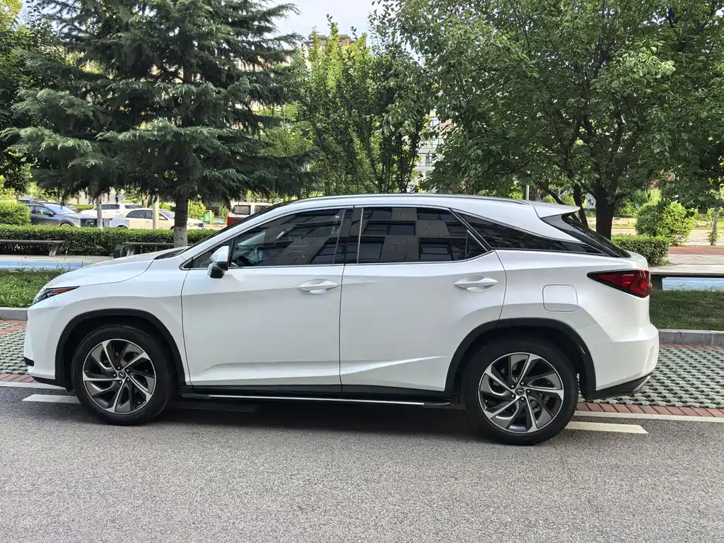 Lexus RX 2020 300 Elegant VI