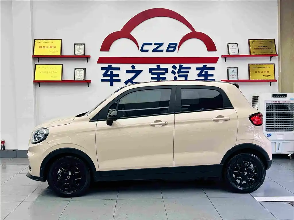 Leapmotor T03 2023 310