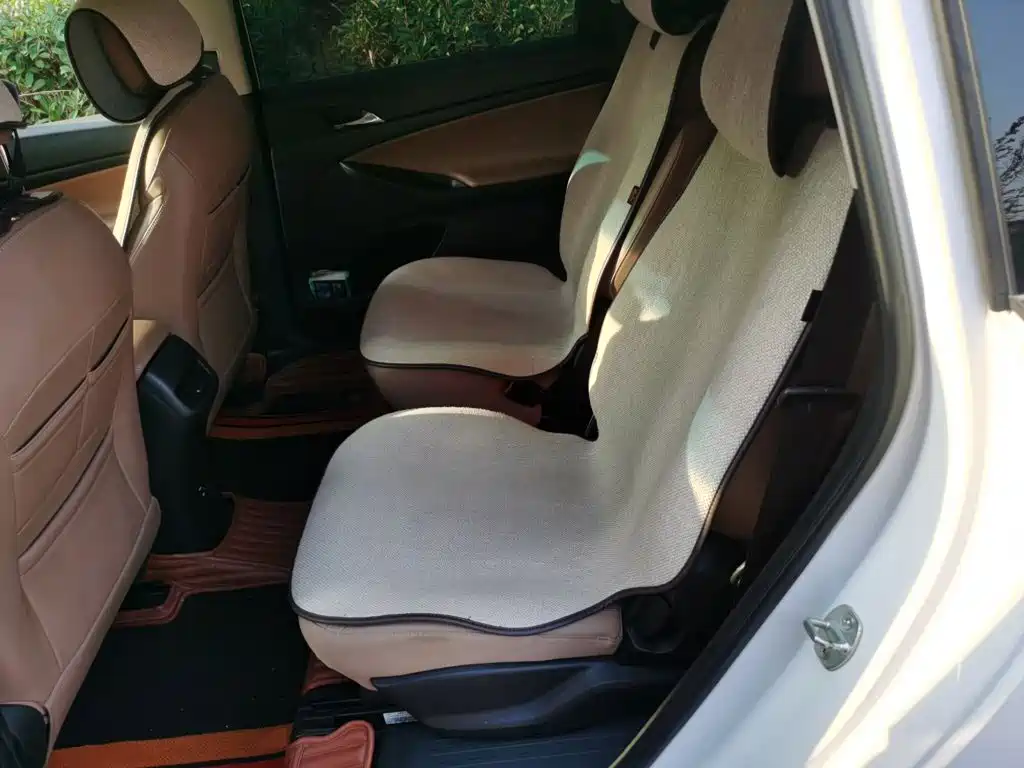 Buick GL6 — миниатюра 13