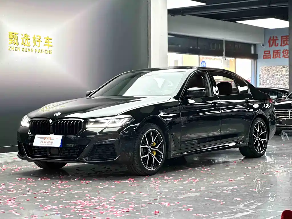 BMW 5 Series 2021