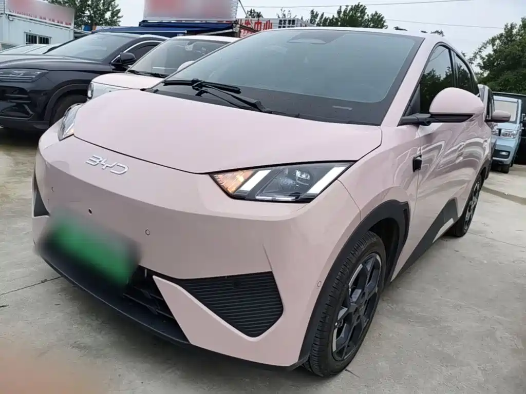 BYD Seagull 2025 Smart Drive 305km Freedom