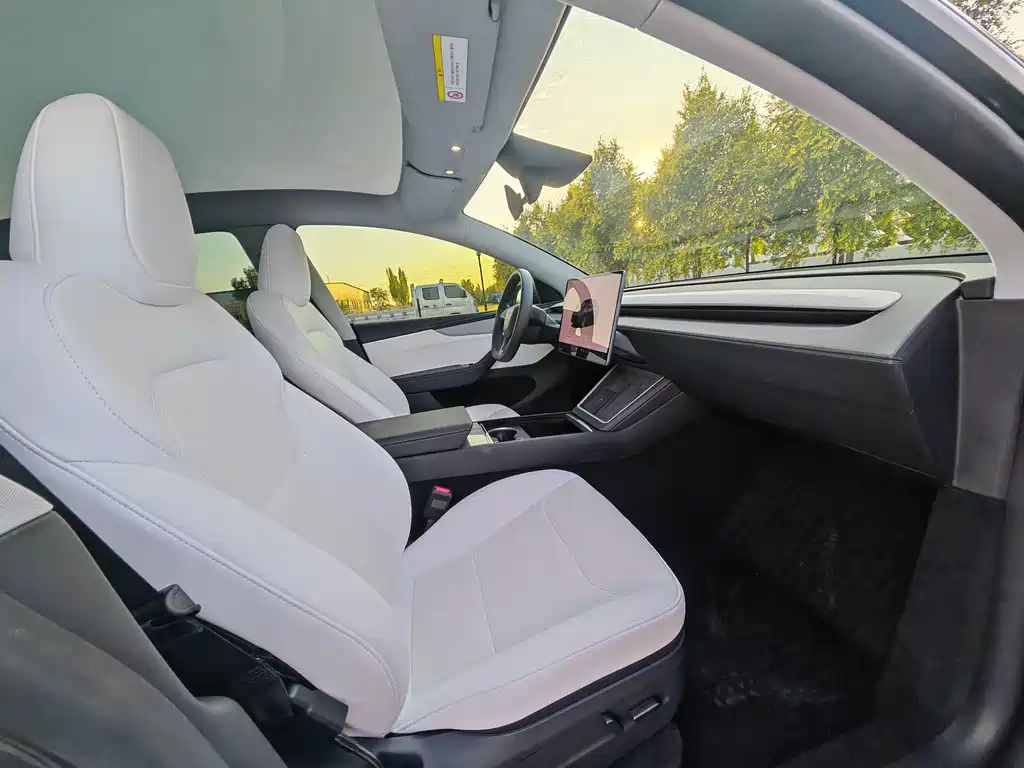 Tesla Model Y — миниатюра 11