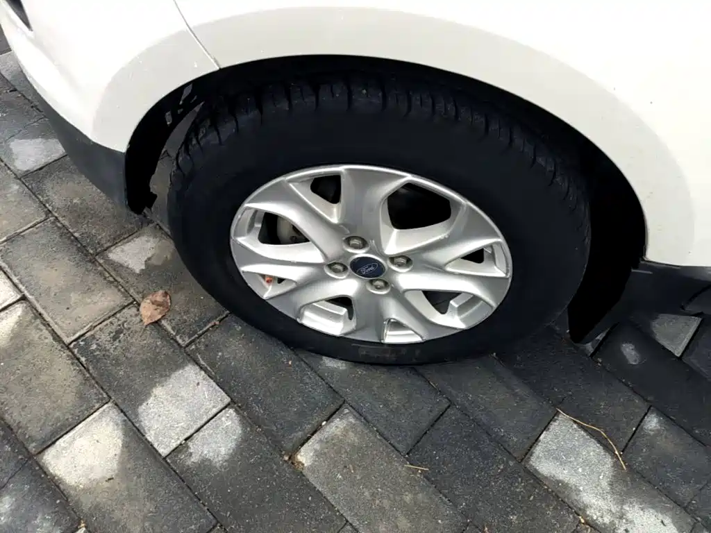 Ford Ecosport — миниатюра 23