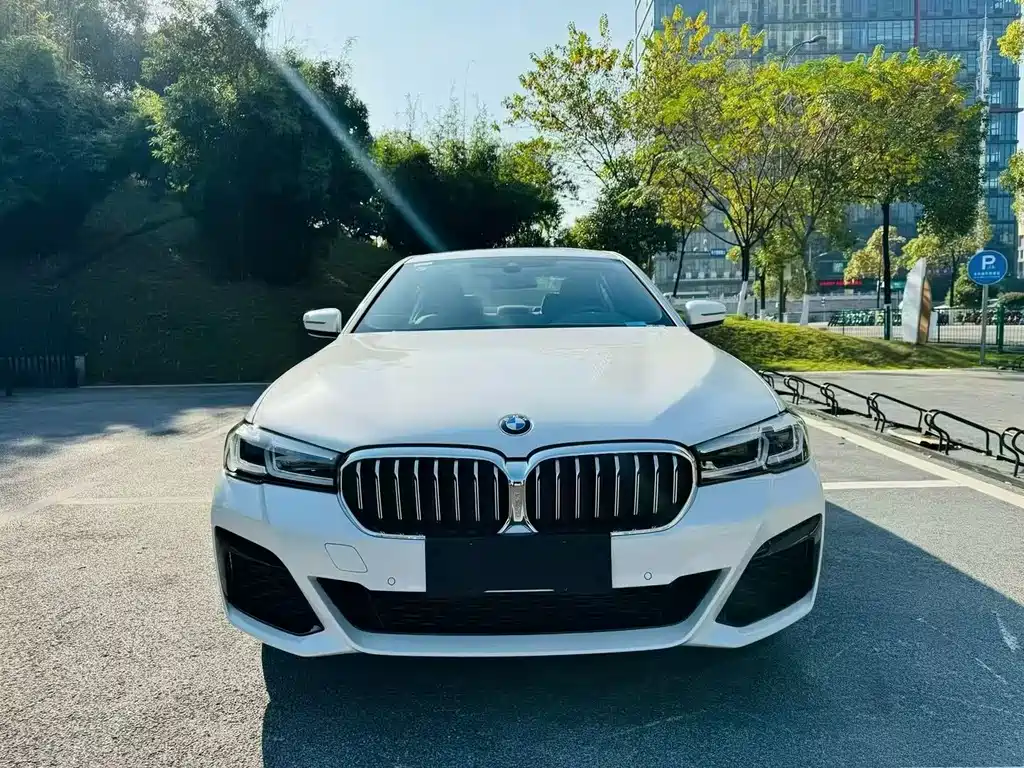 BMW 5 Series — миниатюра 2