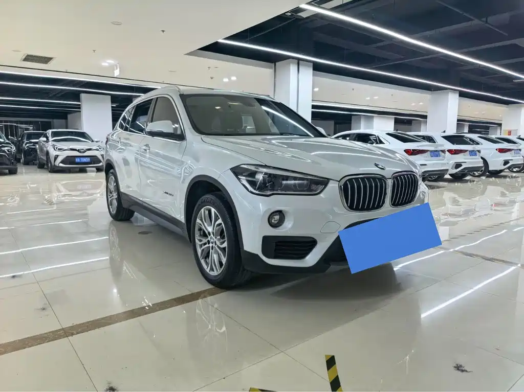 BMW X1 — миниатюра 2